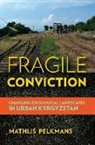 Mathijs Pelkmans - Fragile Conviction