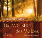 Alexandra Meier - Die Weisheit des Waldes, 1 Audio-CD (Hörbuch)