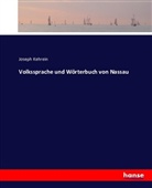 Joseph Kehrein - Volkssprache und Wörterbuch von Nassau