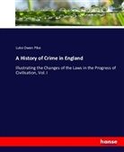 Luke Owen Pike - A History of Crime in England