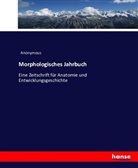 Anonym, Anonymous - Morphologisches Jahrbuch