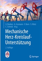 Alexande Assmann, Alexander Assmann, Udo Boeken, Frank Born, Frank Born u a, Stefan Klotz... - Mechanische Herz-Kreislauf-Unterstützung