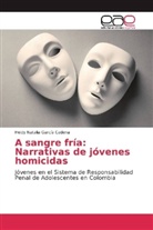 Heidy Natalia García Cadena - A sangre fría: Narrativas de jóvenes homicidas