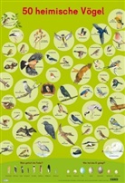 Christine Henkel, Maria Mähler - Mein Lernposter: 50 Heimische Vögel