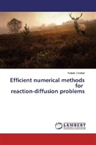 Kolade Owolabi - Efficient numerical methods for reaction-diffusion problems
