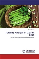 Pawan Kumar - Stability Analysis in Cluster bean