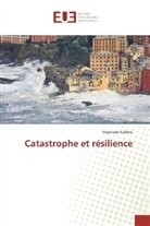 Stéphane Callens - Catastrophe et résilience