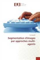Fatma Laribi - Segmentation d'images par approches multi-agents