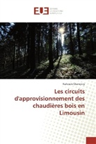 Nahoum Champroy - Les circuits d'approvisionnement des chaudières bois en Limousin