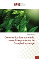 Karim Ouattara - Communication vocale du cercopithèque mone de Campbell sauvage