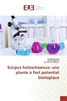 Mohamed Chibane, Khodi MADANI, Khodir Madani, Salih Oussaid, Saliha Oussaid - Scirpus holoschoenus: une plante à fort potentiel biologique