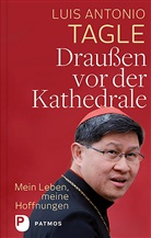 Luis Antonio Tagle, Fazzini, Fazzini, Gerolam Fazzini, Gerolamo Fazzini, Lorenzo Fazzini - Draußen vor der Kathedrale