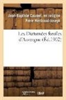 Héribaud-Joseph, Heribaud-joseph-j-b - Les diatomees fossiles d auvergne