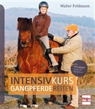 Walter Feldmann - Intensivkurs Gangpferdereiten