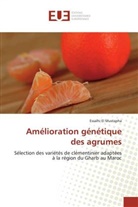 Essalhi El Mustapha - Amélioration génétique des agrumes