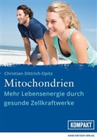 Christian Dittrich-Opitz - Mitochondrien