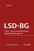 Wolfgang Kozak - LSD-BG Lohn- und Sozialdumping-Bekämpfungsgesetz