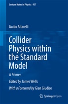 Guido Altarelli, Jame Wells, James Wells - Collider Physics within the Standard Model