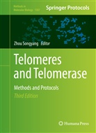 Zho Songyang, Zhou Songyang - Telomeres and Telomerase