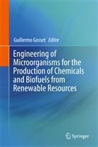 Guillerm Gosset, Guillermo Gosset - Engineering of Microorganisms for the Production of Chemicals and Biofuels from Renewable Resources