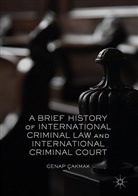 Cenap Cakmak, Cenap Çakmak - Brief History of International Criminal Law and International