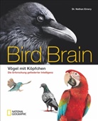 Nathan Emery, Nathan (Dr.) Emery - Bird Brain
