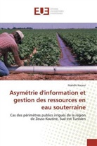 Mahdhi Naceur - Asymétrie d'information et gestion des ressources en eau souterraine