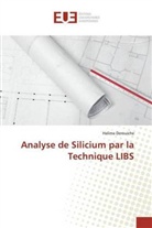 Halima Derouiche - Analyse de Silicium par la Technique LIBS