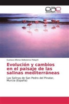 Gustavo Alfonso Ballesteros Pelegrín - Evolución y cambios en el paisaje de las salinas mediterráneas