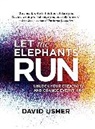 David Usher - Let the Elephants Run
