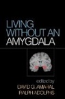 Ralph Adolphs, David G. Amaral, David G. (UC Davis MIND Institute Amaral, Adam K Anderson, Jocelyne Bachevalier, Eliza Bliss-Moreau - Living without an Amygdala