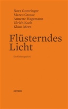 Nor Gomringer, Nora Gomringer, Marc Grosse, Marco Grosse, Annette Hagemann, Annette u Hagemann... - Flüsterndes Licht