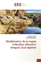 Kamil Baba-Hamed, Kamila Baba-Hamed, Abd Bouanani, Abderrazak Bouanani, Abdelhad Dribat, Abdelhadi Dribat - Modélisation de la nappe inféroflux d'Oued In Amguel, Sud algérien