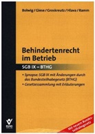 Nil Bolwig, Nils Bolwig, Maren Giese, Hennin Groskreutz, Henning Groskreutz, Daniel Hlava... - Behindertenrecht im Betrieb
