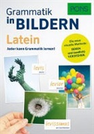 Melanie Ebert - PONS Grammatik in Bildern Latein