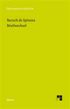 Arthur Schopenhauer, Baruch de Spinoza, Benedictus (Baruch) de Spinoza, Wolfgan Bartuschat, Wolfgang Bartuschat - Sämtliche Werke - 6: Briefwechsel
