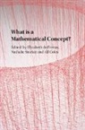 Elizabeth de Freitas, EDITED BY ELIZABETH, Elizabeth De Sinclair Freitas, Nathalie Coles Sinclair, Alf Coles, Coles Alf... - What Is a Mathematical Concept?