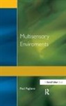 Paul Pagliano, Paul (James Cook University Pagliano - Multisensory Environments