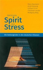 Klau Baumann, Klaus Baumann, Arnd Büssing, Arndt Büssing, Eckhard Frick, Eckhard u a Frick... - Zwischen Spirit und Stress