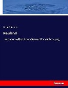 Cäsar Flaischlen - Neuland