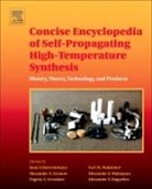 Inna Borovinskaya, Inna P. Borovinskaya, Inna P. (EDT)/ Gromov Borovinskaya, Alexander A. Gromov, Yuri M. Maksimov, Alexander A. Gromov... - Concise Encyclopedia of Self-propagating High-temperature Synthesis