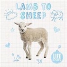 Holly Duhig, Grace Jones, Danielle Rippengill - Lamb to Sheep