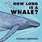 Alison Limentani - How Long Is a Whale?