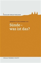 Herman Stinglhammer, Hermann Stinglhammer - Sünde - was ist das?