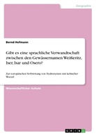Bernd Hofmann - Gibt es eine sprachliche Verwandtschaft zwischen den Gewässernamen Weißeritz, Iser, Isar und Osero?