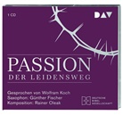 Günther Fischer, Wolfram Koch - Passion. Der Leidensweg, 1 Audio-CD (Audiolibro)