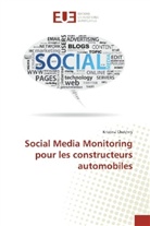 Kristina Chekhriy - Social Media Monitoring pour les constructeurs automobiles