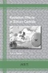 A. A. Lebedev - Radiation Effects in Silicon Carbide