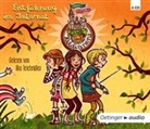 Nina Weger, Nina Rosa Weger, Nina Dulleck, Ilka Teichmüller - Club der Heldinnen - Entführung im Internat, 4 Audio-CDs (Audio book)