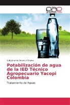 Sully Johanna Betancur Orjuela - Potabilización de agua de la IED Técnico Agropecuario Yacopi Colombia